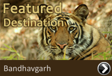 Featured Destination