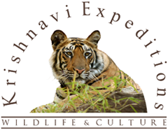 Krishnavi Expeditions