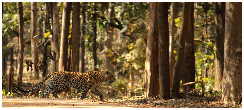 Tailor-made Itineraries